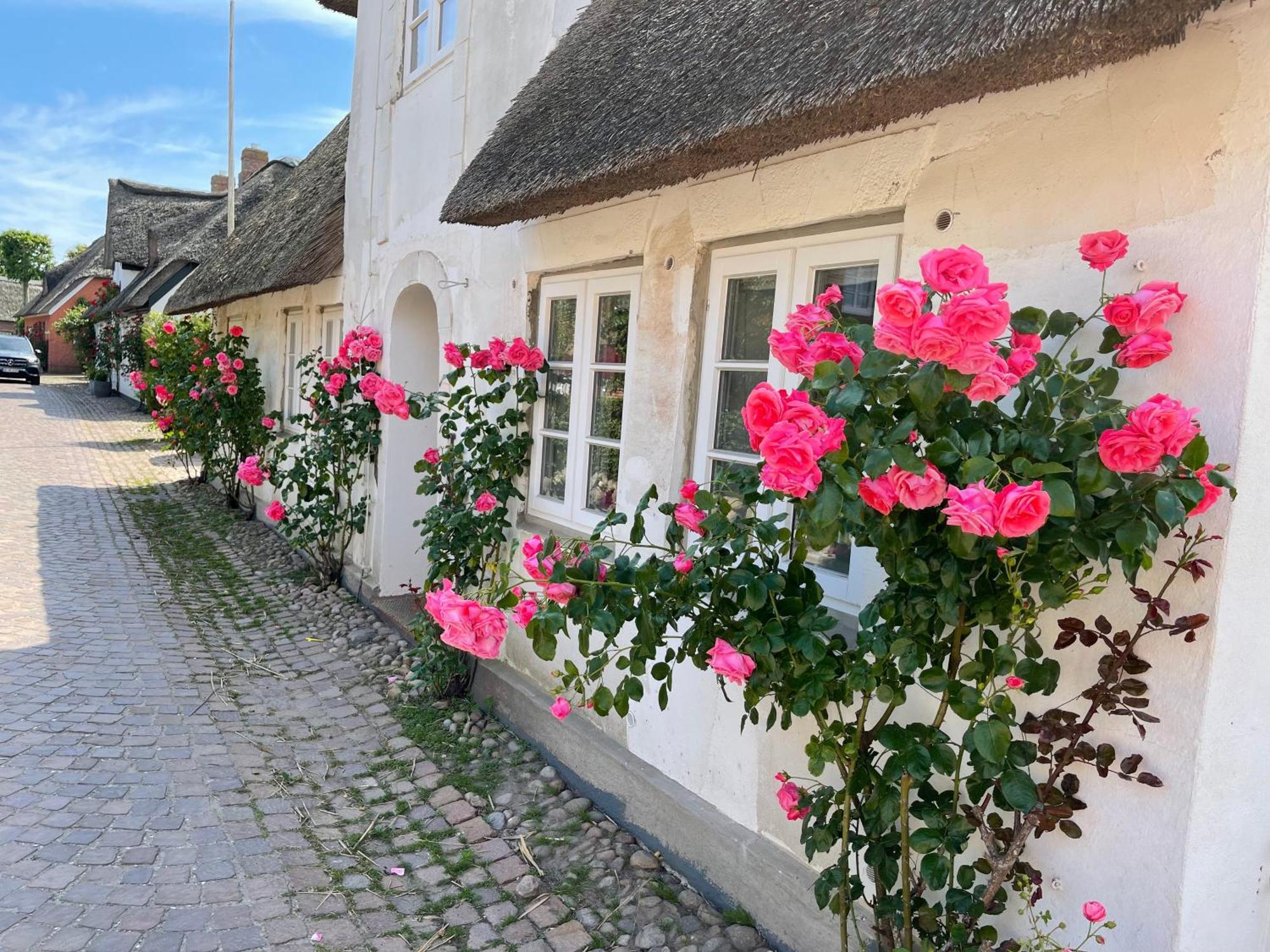 Kapitaenshaus Von 1712 - Neu Saniert Apartment Nieblum Exterior photo